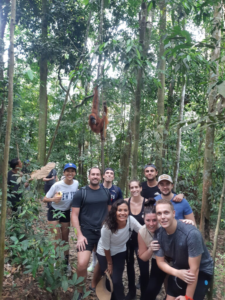 Package Tours in Bukit Lawang